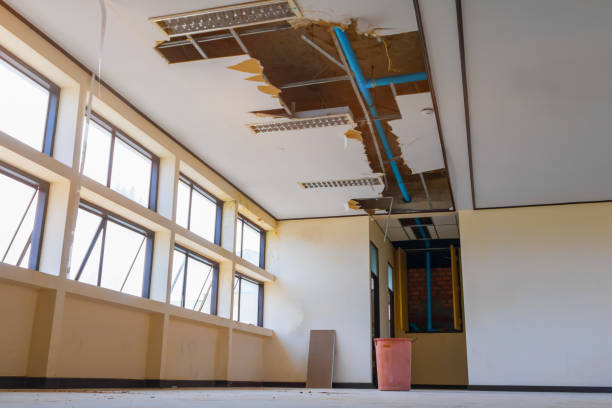 Best Carpet water damage restoration  in Richwood, OH