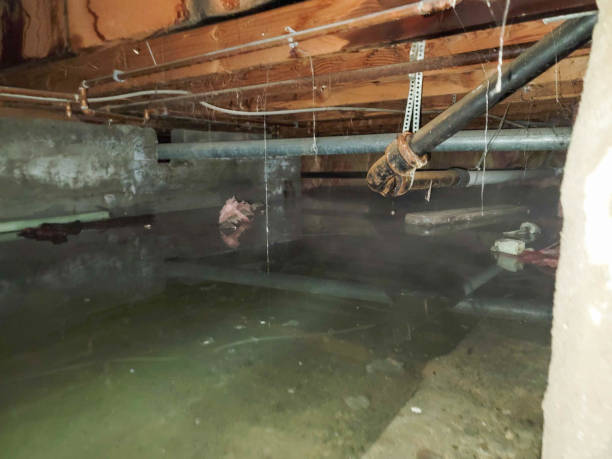 Best Ceiling water damage repair  in Richwood, OH