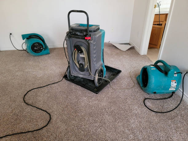 Best Water damage restoration company  in Richwood, OH