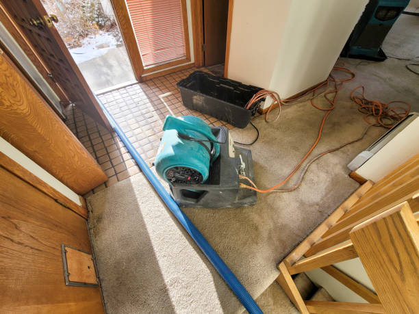 Best Flood damage cleanup  in Richwood, OH