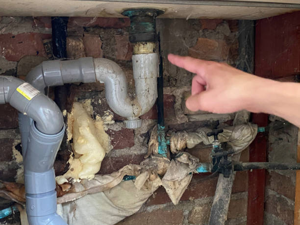Best Water damage contractors near me  in Richwood, OH
