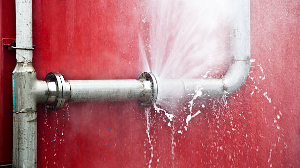 Best Professional water damage repair  in Richwood, OH